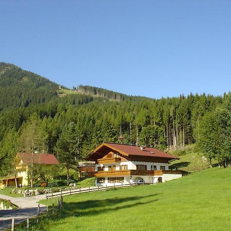 Апартаменты Landhaus Dickhardt Шладминг Экстерьер фото